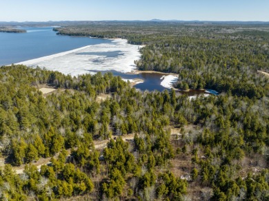 Graham Lake Acreage For Sale in Waltham Maine