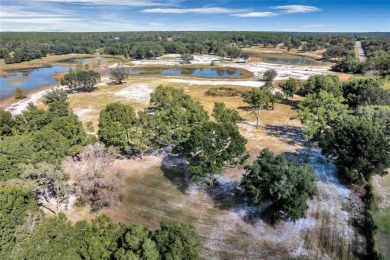 (pending lake) Acreage For Sale in Umatilla Florida