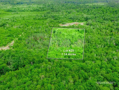 Lake Champlain - Clinton County Lot For Sale in Tupper Lake New York