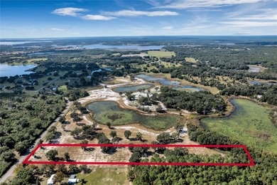 (private lake, pond, creek) Acreage For Sale in Umatilla Florida