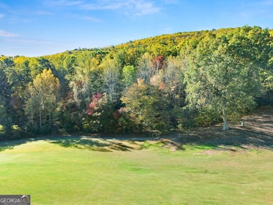 GOLF COURSE FRONTAGE - two adjacent lots totaling 1.69-/+ acres - photo 12