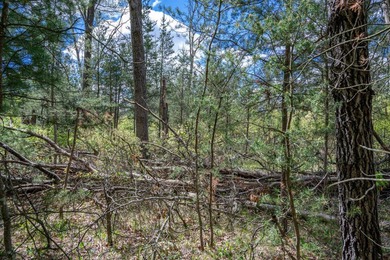 Nicely wooded and buildable lot in Castle Rock Estates - photo 13