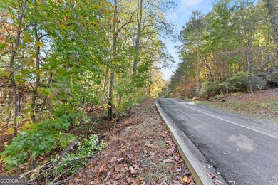 GOLF COURSE FRONTAGE - two adjacent lots totaling 1.69-/+ acres - photo 14
