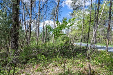 Nicely wooded and buildable lot in Castle Rock Estates - photo 14