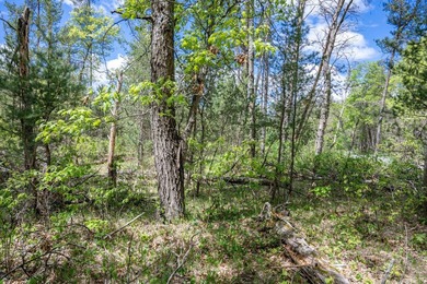 Nicely wooded and buildable lot in Castle Rock Estates - photo 15