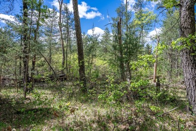 Nicely wooded and buildable lot in Castle Rock Estates - photo 16