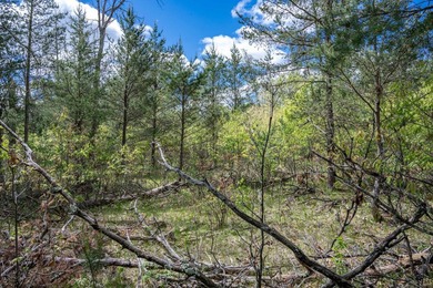 Nicely wooded and buildable lot in Castle Rock Estates - photo 17