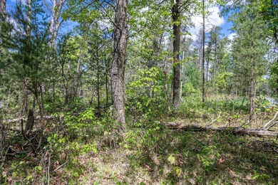 Nicely wooded and buildable lot in Castle Rock Estates - photo 18