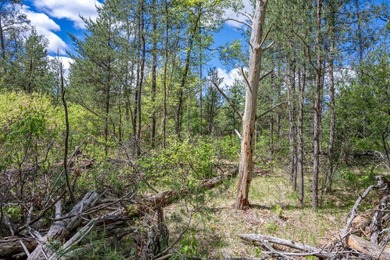 Nicely wooded and buildable lot in Castle Rock Estates - photo 19