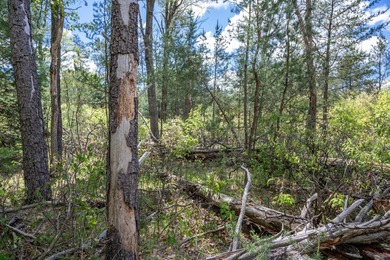 Nicely wooded and buildable lot in Castle Rock Estates - photo 20