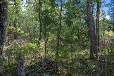 Nicely wooded and buildable lot in Castle Rock Estates - photo 21