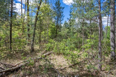 Nicely wooded and buildable lot in Castle Rock Estates - photo 22