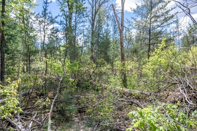 Nicely wooded and buildable lot in Castle Rock Estates - photo 23