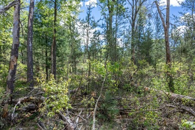 Nicely wooded and buildable lot in Castle Rock Estates - photo 24