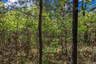 Nicely wooded and buildable lot in Castle Rock Estates - photo 25