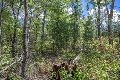 Nicely wooded and buildable lot in Castle Rock Estates - photo 26