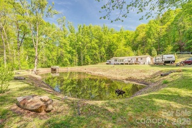 (private lake, pond, coastal) Home For Sale in Weaverville North Carolina