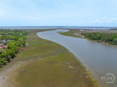 Enjoy breathtaking sunsets and serene marsh and Delegal Creek - photo 44