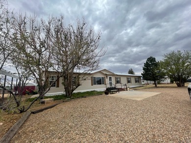 Ute Lake Home For Sale in Logan New Mexico