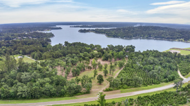 RARE HOUSTON COUNTY LAKE ACREAGE! - photo 6