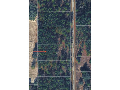 Bonable Lake Lot For Sale in Dunnellon Florida