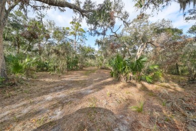 This beautiful, pristine 7.32-acre waterfront lot with - photo 11