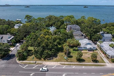 RARE OPPORTUNITY! Nestled in the heart of Dunedin, almost 3/4 of - photo 2