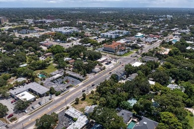 RARE OPPORTUNITY! Nestled in the heart of Dunedin, almost 3/4 of - photo 6