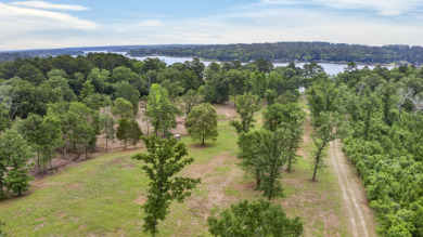 RARE HOUSTON COUNTY LAKE ACREAGE! - photo 7