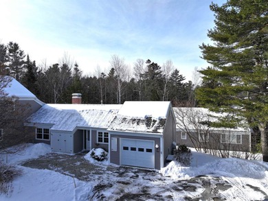 Lake Condo For Sale in New London, New Hampshire