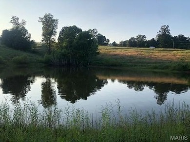 (private lake, pond, creek) Acreage For Sale in Richwoods Missouri