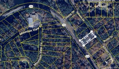 Incredible opportunity to own a beautiful .45-acre lot in the - photo 2