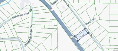 Incredible opportunity to own a beautiful .45-acre lot in the - photo 3