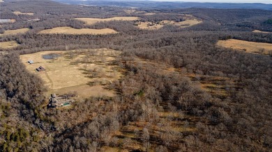 Architecturally significant estate designed by one of NWA's most - photo 42