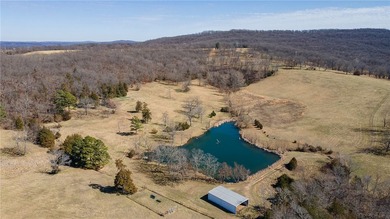 Architecturally significant estate designed by one of NWA's most - photo 44