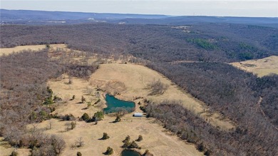 Architecturally significant estate designed by one of NWA's most - photo 45