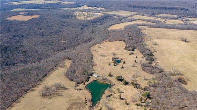 Architecturally significant estate designed by one of NWA's most - photo 46