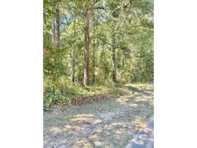 Lake Lot For Sale in Loxley, Alabama