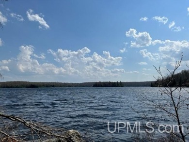 Beaufort Lake Acreage For Sale in Michigamme Michigan