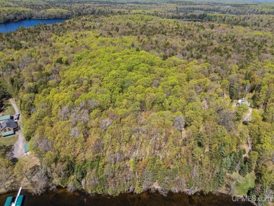 Lake Acreage For Sale in Watersmeet, Michigan