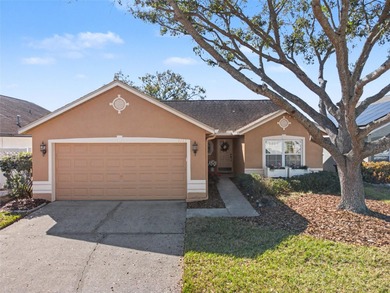 (private lake, pond, coastal) Home Sale Pending in Brandon Florida