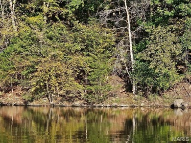 Lake Sherwood Lot For Sale in Lake Sherwood Missouri