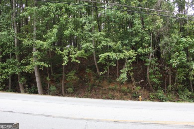 Lake Lot For Sale in Stone Mountain, Georgia