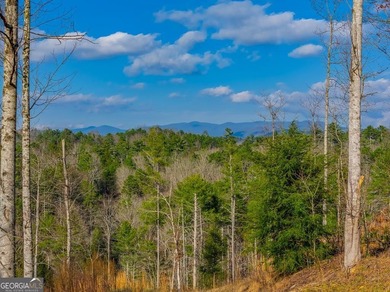 Coosawattee River - Gilmer County Acreage For Sale in Ellijay Georgia