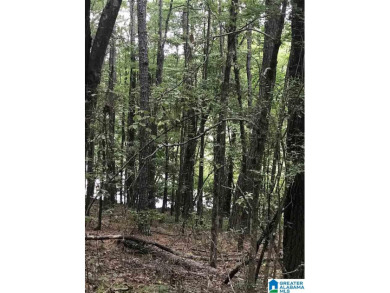 Logan Martin Lake Lot For Sale in Alpine Alabama