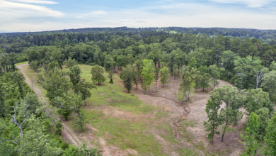 RARE HOUSTON COUNTY LAKE ACREAGE! - photo 8