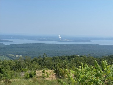 Spring Mountain Estate spans 1,675+/- contiguous acres in Yell & - photo 11