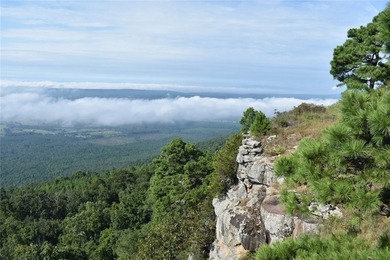 Spring Mountain Estate spans 1,675+/- contiguous acres in Yell & - photo 12
