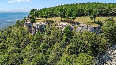 Spring Mountain Estate spans 1,675+/- contiguous acres in Yell & - photo 13