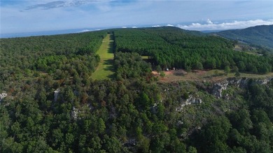 Spring Mountain Estate spans 1,675+/- contiguous acres in Yell & - photo 14